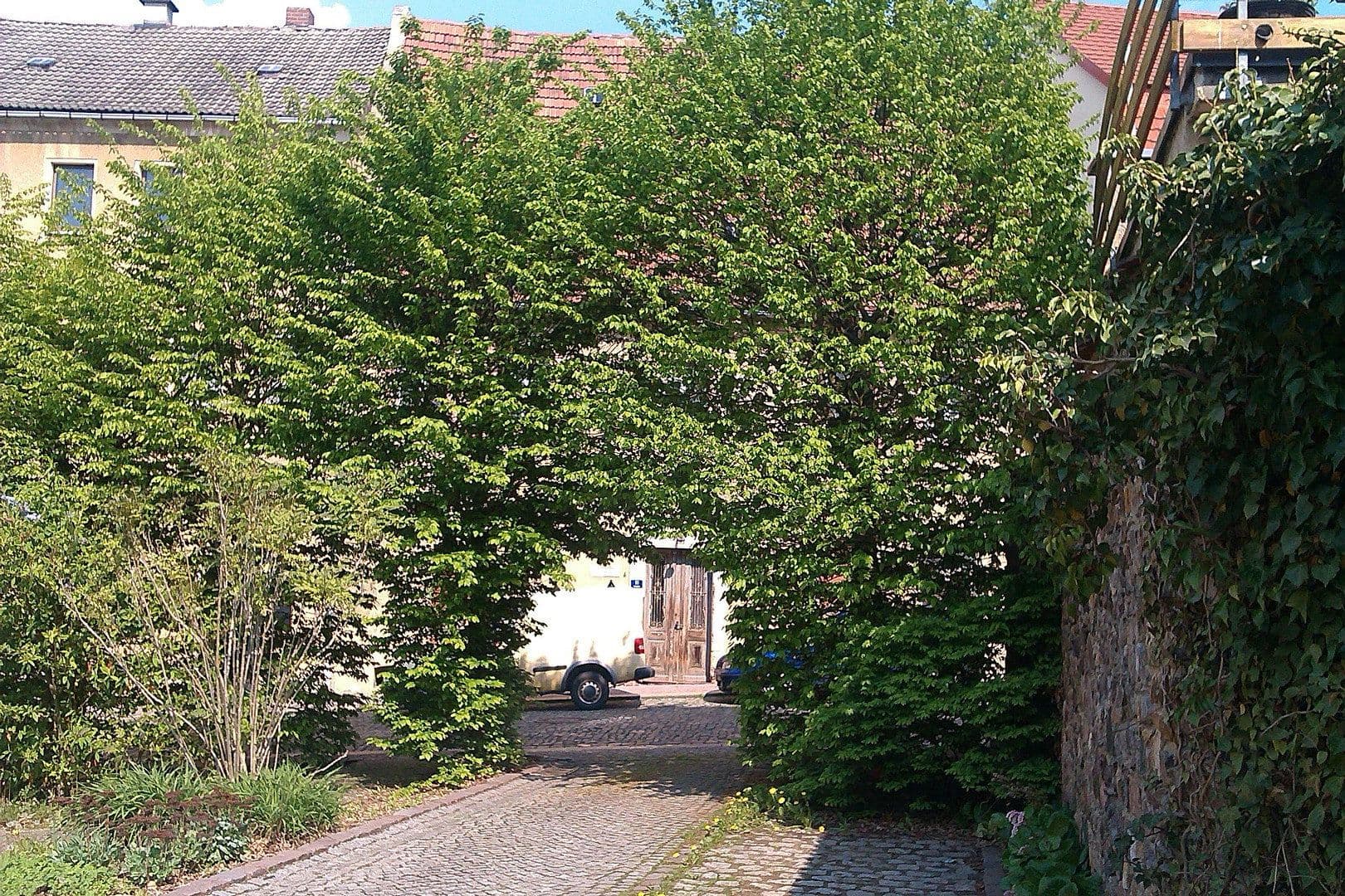 house for sale, 207 m², Penig, Saxony house for sale, 207 m², Penig, Saxony