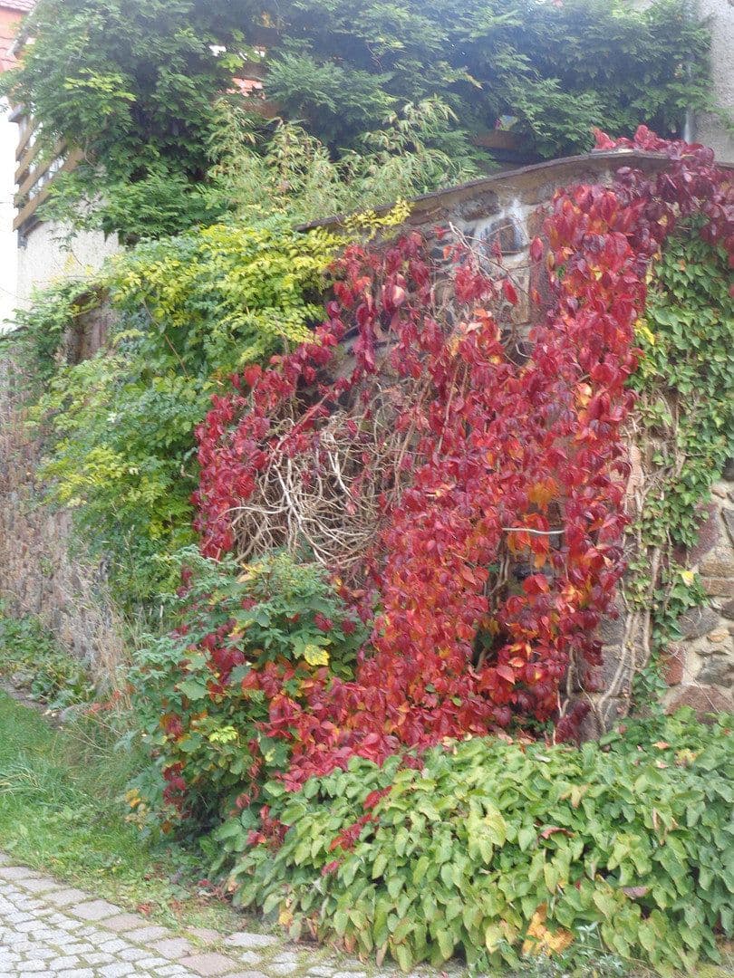 house for sale, 207 m², Penig, Saxony house for sale, 207 m², Penig, Saxony