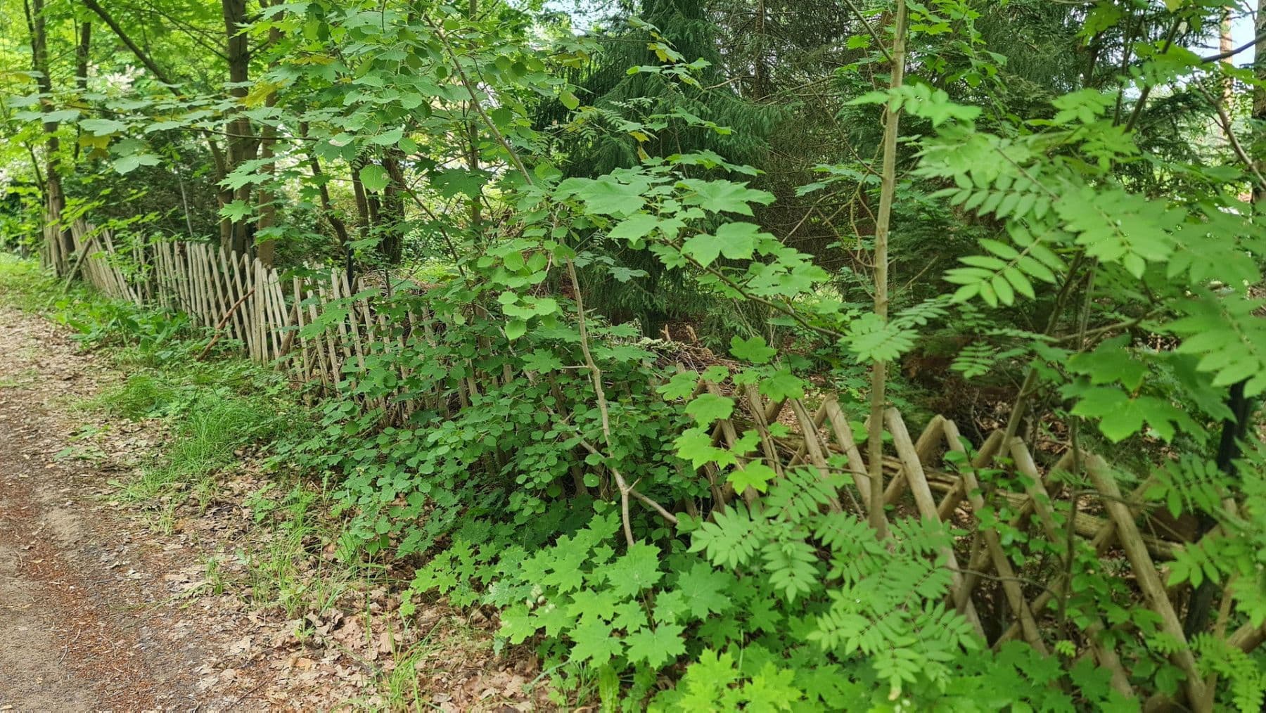 plot for sale, 1,096 m², Holunderweg 14, Wandlitz, Brandenburg plot for sale, 1,096 m², Holunderweg 14, Wandlitz, Brandenburg