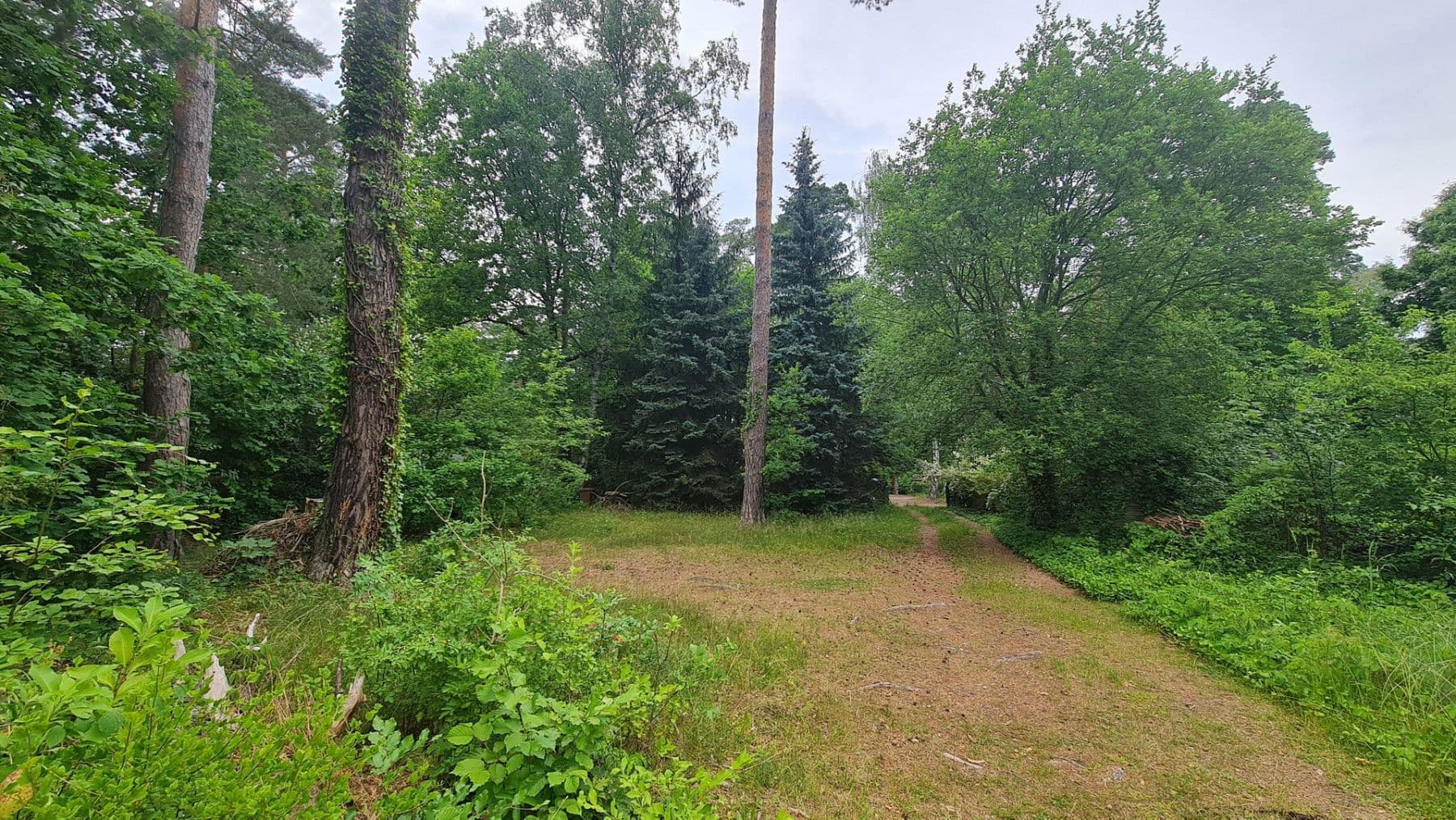 plot for sale, 1,096 m², Holunderweg 14, Wandlitz, Brandenburg plot for sale, 1,096 m², Holunderweg 14, Wandlitz, Brandenburg