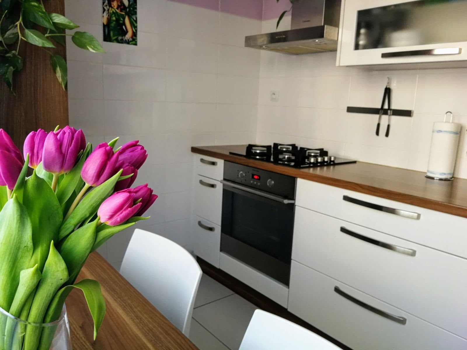 2 bedroom flat to rent, 55 m², Nad Vodovodem, Prague, Prague 2 bedroom flat to rent, 55 m², Nad Vodovodem, Prague, Prague