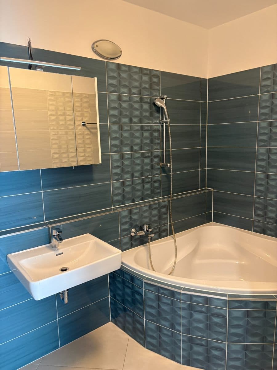 3 bedroom with open-plan kitchen flat to rent, 108 m², Makedonská, Prague, Prague 3 bedroom with open-plan kitchen flat to rent, 108 m², Makedonská, Prague, Prague