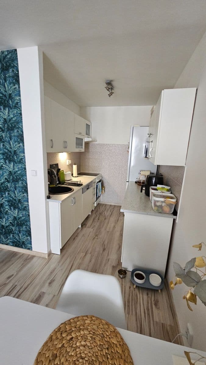 1 bedroom with open-plan kitchen flat to rent, 54 m², Milánská, Prague, Prague 1 bedroom with open-plan kitchen flat to rent, 54 m², Milánská, Prague, Prague