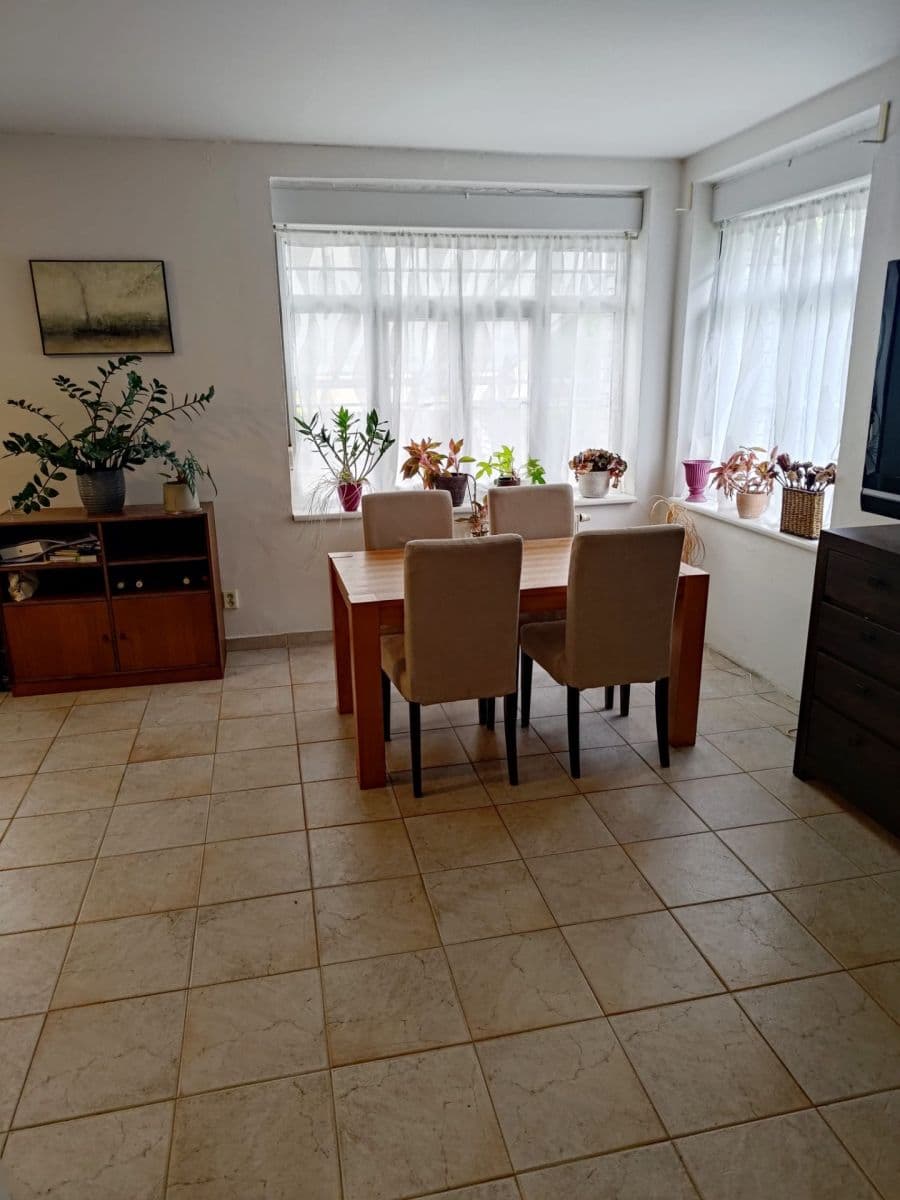 1 bedroom with open-plan kitchen flat to rent, 75 m², Nad Lesem, Prague, Prague 1 bedroom with open-plan kitchen flat to rent, 75 m², Nad Lesem, Prague, Prague