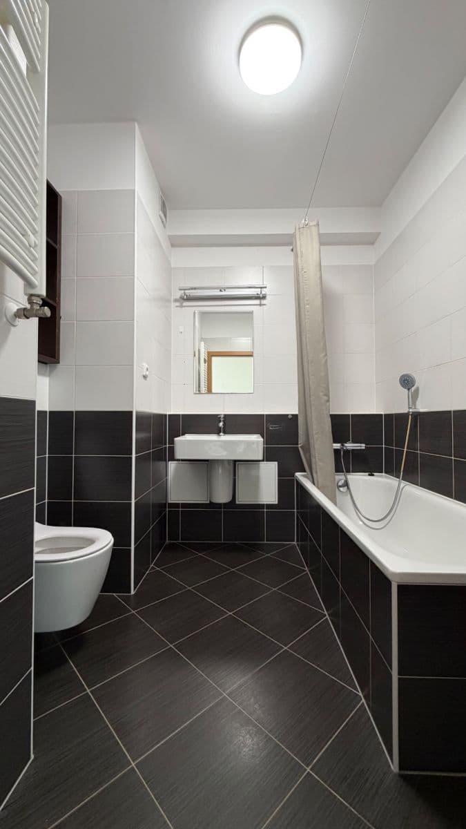 1 bedroom with open-plan kitchen flat for sale, 54 m², Pod Harfou, Prague, Prague 1 bedroom with open-plan kitchen flat for sale, 54 m², Pod Harfou, Prague, Prague