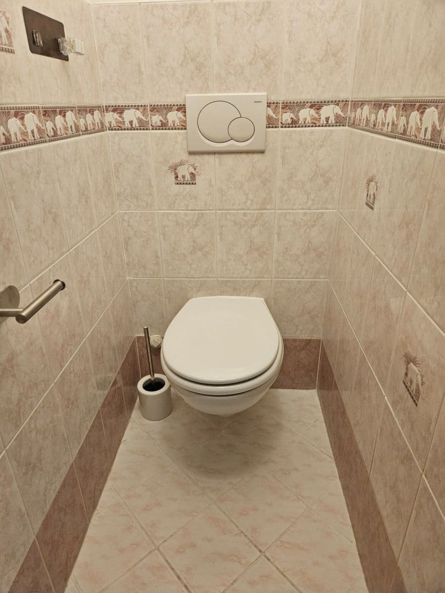 1 bedroom with open-plan kitchen flat to rent, 51 m², Trenčínská, Prague, Prague 1 bedroom with open-plan kitchen flat to rent, 51 m², Trenčínská, Prague, Prague