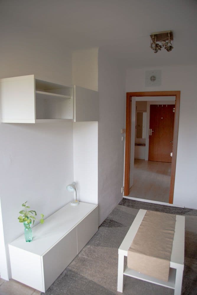 2 bedroom with open-plan kitchen flat to rent, 70 m², Nad Tratí, Prague, Prague 2 bedroom with open-plan kitchen flat to rent, 70 m², Nad Tratí, Prague, Prague