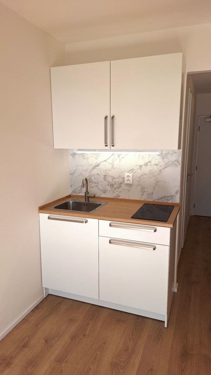 Studio flat to rent, 23 m², Čenětická, Prague, Prague Studio flat to rent, 23 m², Čenětická, Prague, Prague