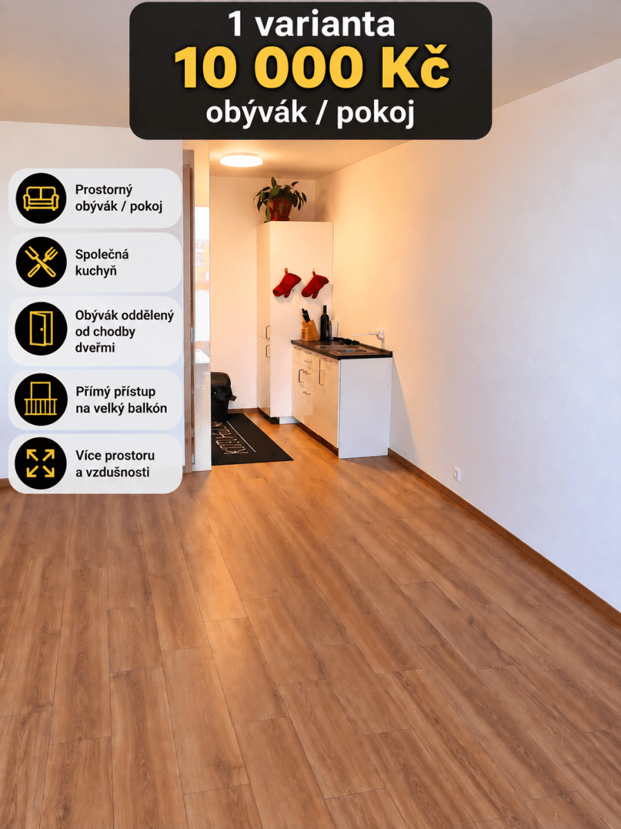 1 bedroom with open-plan kitchen flat to rent, 50 m², Milánská, Prague, Prague 1 bedroom with open-plan kitchen flat to rent, 50 m², Milánská, Prague, Prague