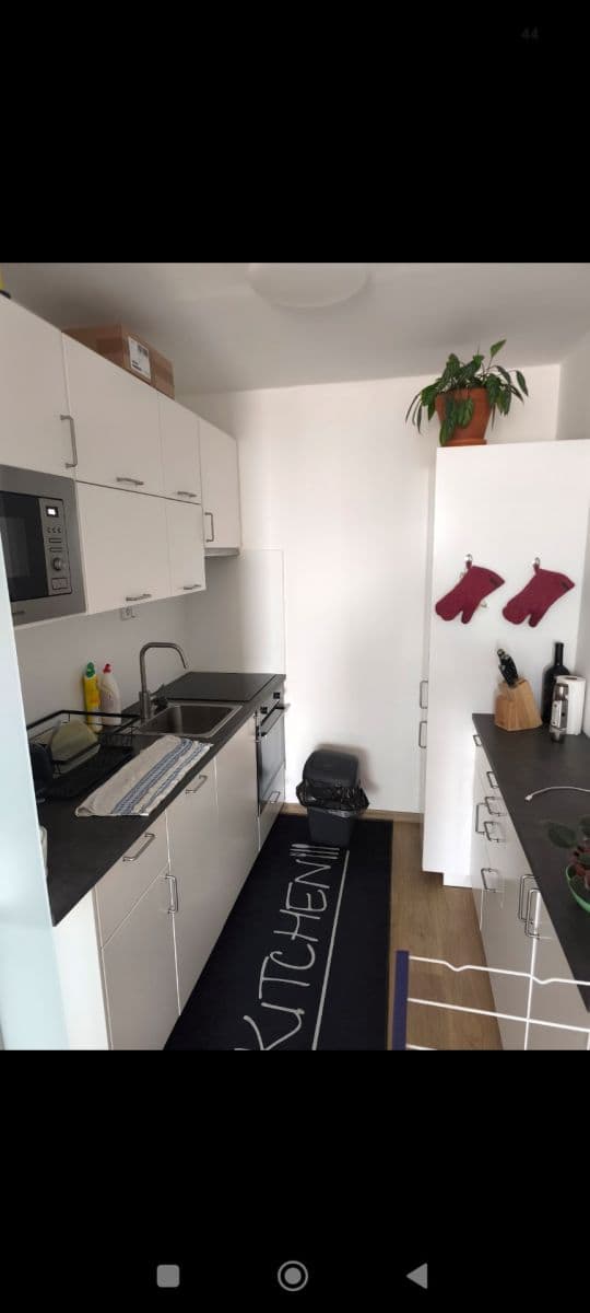 1 bedroom with open-plan kitchen flat to rent, 50 m², Milánská, Prague, Prague 1 bedroom with open-plan kitchen flat to rent, 50 m², Milánská, Prague, Prague