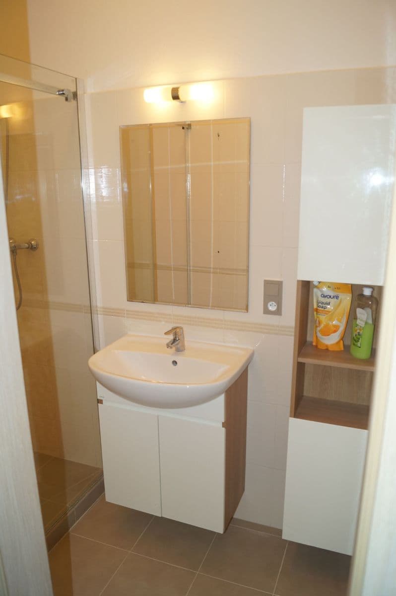 2 bedroom flat to rent, 52 m², Heřmanova, Prague, Prague 2 bedroom flat to rent, 52 m², Heřmanova, Prague, Prague