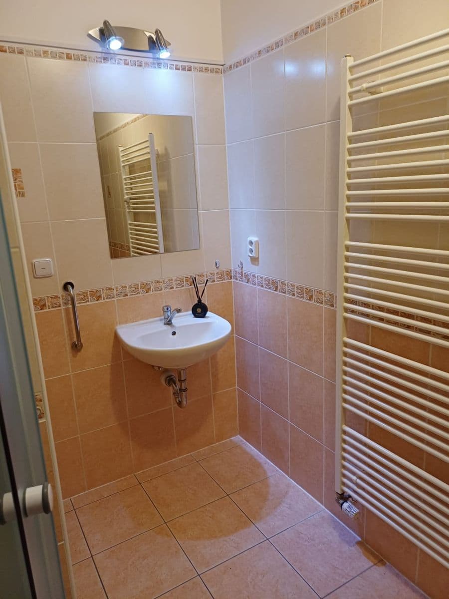 1 bedroom with open-plan kitchen flat for sale, 50 m², Přemyslova, Kralupy nad Vltavou, Středočeský Region 1 bedroom with open-plan kitchen flat for sale, 50 m², Přemyslova, Kralupy nad Vltavou, Středočeský Region