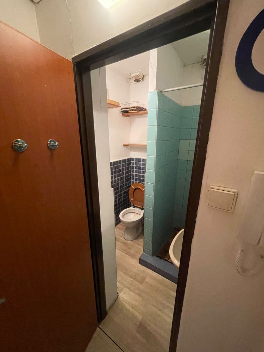 Studio flat to rent, 21 m², Dělnická, Prague, Prague Studio flat to rent, 21 m², Dělnická, Prague, Prague