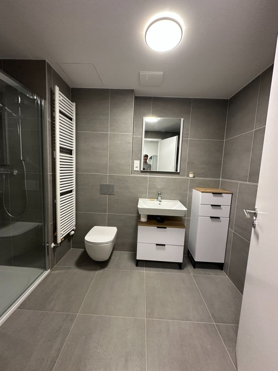 1 bedroom with open-plan kitchen flat to rent, 53 m², Za Pískovnou, Prague, Prague 1 bedroom with open-plan kitchen flat to rent, 53 m², Za Pískovnou, Prague, Prague