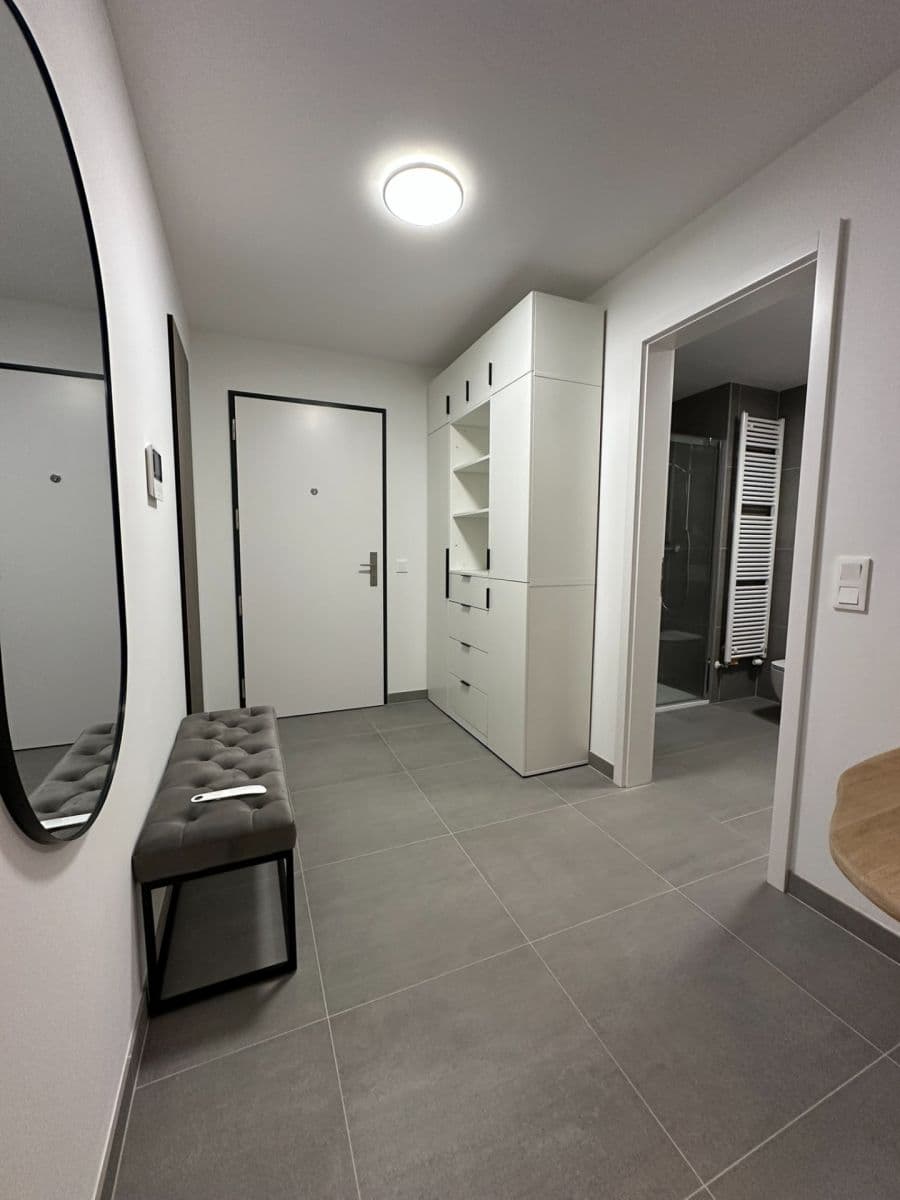 1 bedroom with open-plan kitchen flat to rent, 53 m², Za Pískovnou, Prague, Prague 1 bedroom with open-plan kitchen flat to rent, 53 m², Za Pískovnou, Prague, Prague