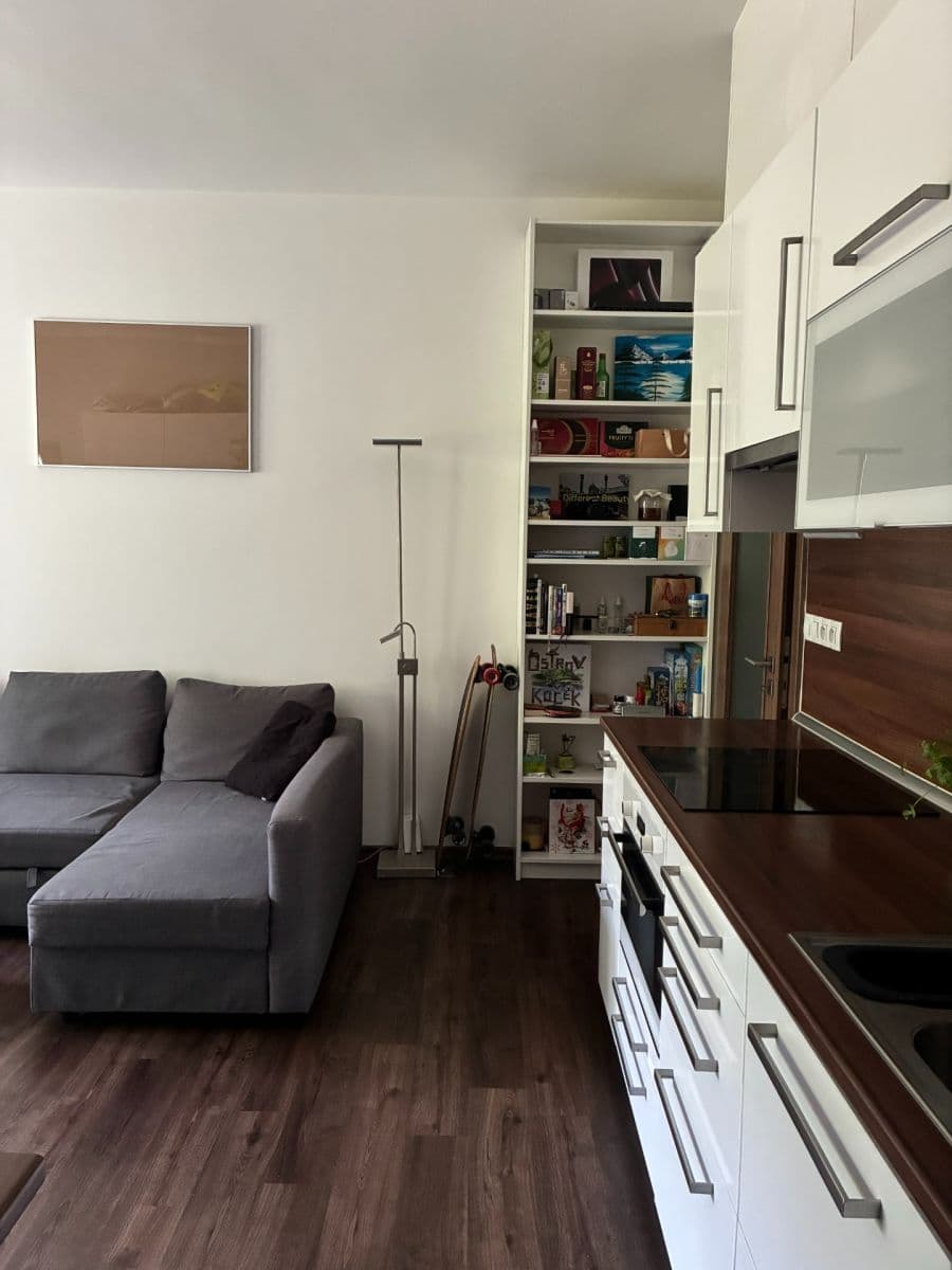 1 bedroom with open-plan kitchen flat to rent, 45 m², Hájkova, Prague, Prague 1 bedroom with open-plan kitchen flat to rent, 45 m², Hájkova, Prague, Prague