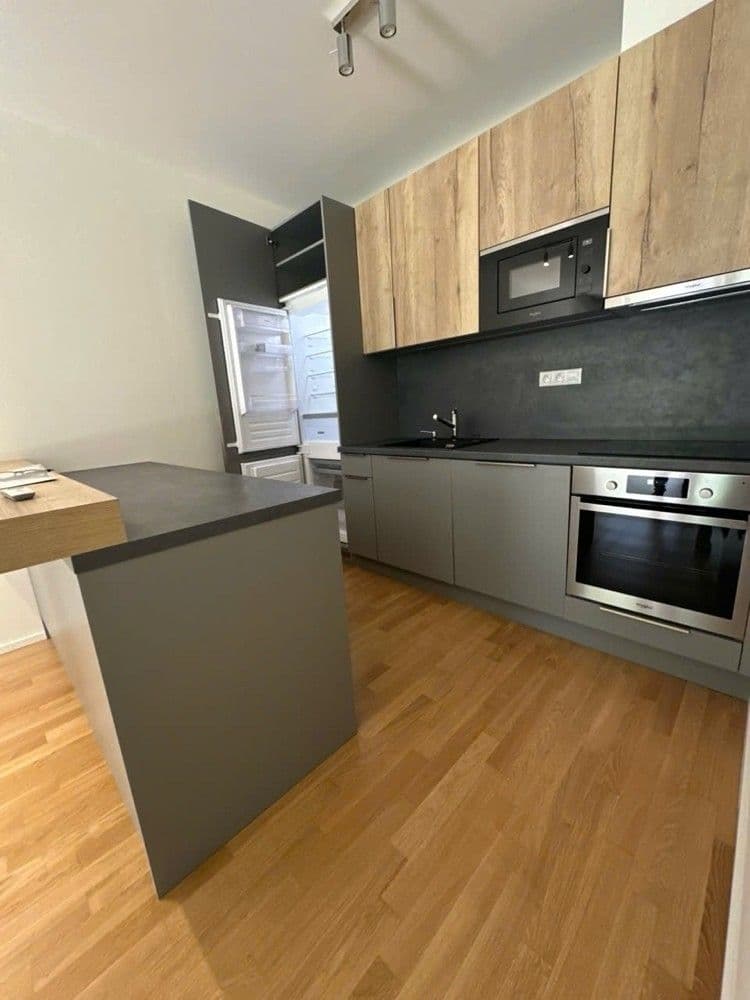 2 bedroom with open-plan kitchen flat to rent, 77 m², U Viktorie, Prague, Prague 2 bedroom with open-plan kitchen flat to rent, 77 m², U Viktorie, Prague, Prague