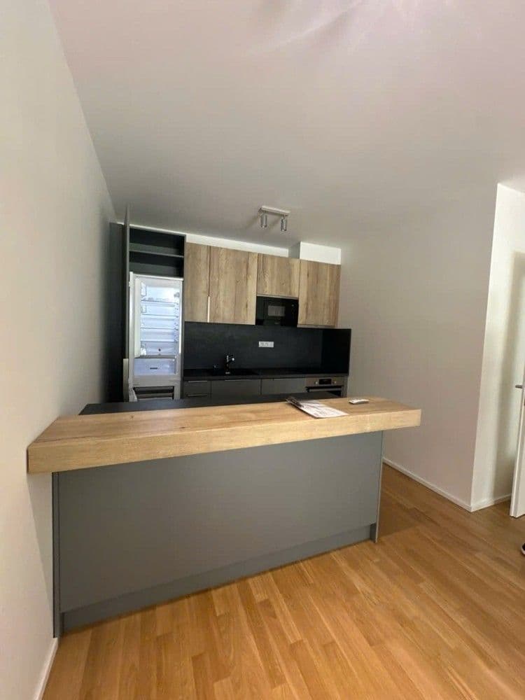 2 bedroom with open-plan kitchen flat to rent, 77 m², U Viktorie, Prague, Prague 2 bedroom with open-plan kitchen flat to rent, 77 m², U Viktorie, Prague, Prague