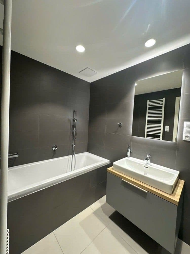 2 bedroom with open-plan kitchen flat to rent, 77 m², U Viktorie, Prague, Prague 2 bedroom with open-plan kitchen flat to rent, 77 m², U Viktorie, Prague, Prague