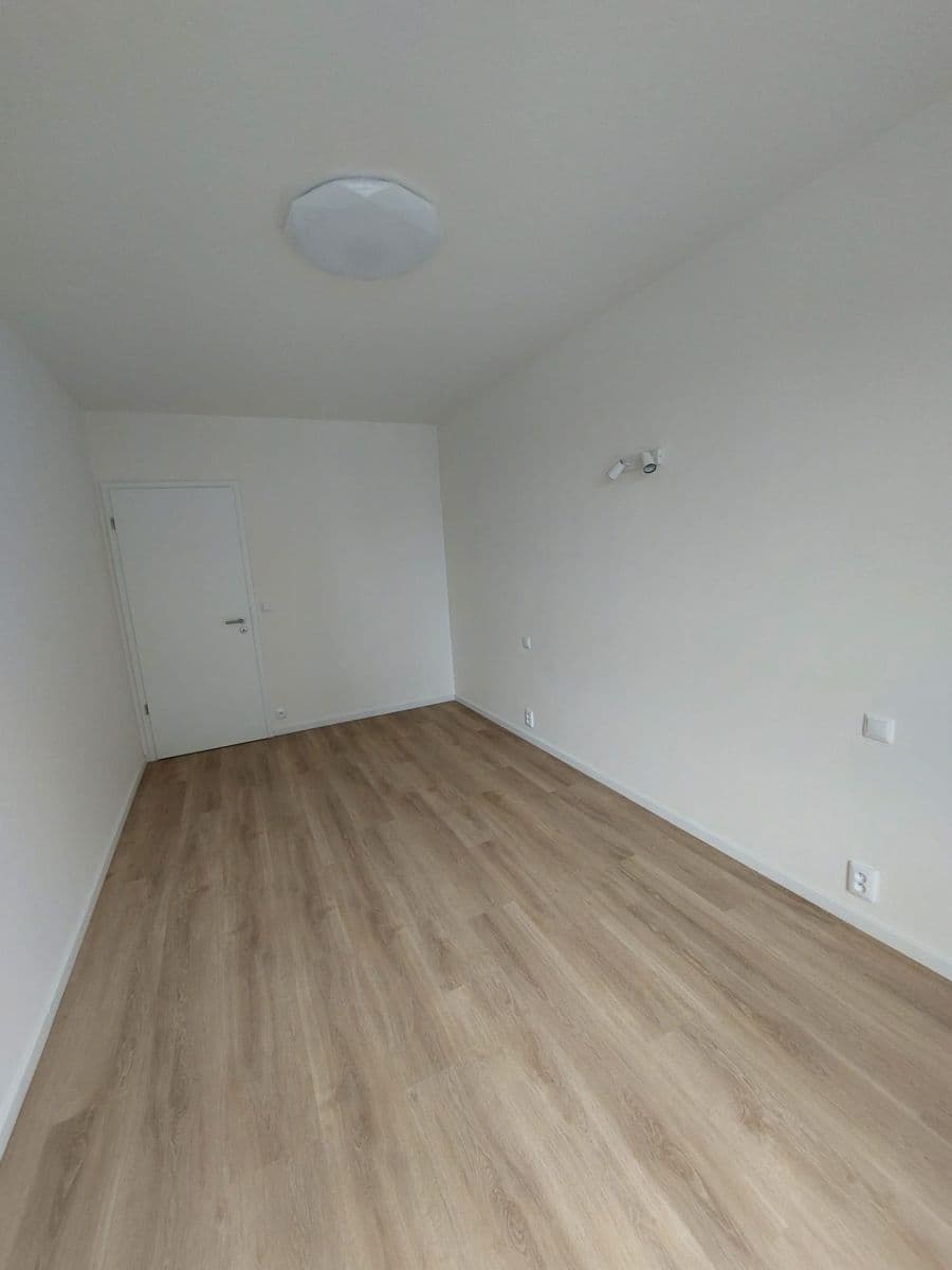 1 bedroom with open-plan kitchen flat to rent, 55 m², Divíškové, Prague, Prague 1 bedroom with open-plan kitchen flat to rent, 55 m², Divíškové, Prague, Prague