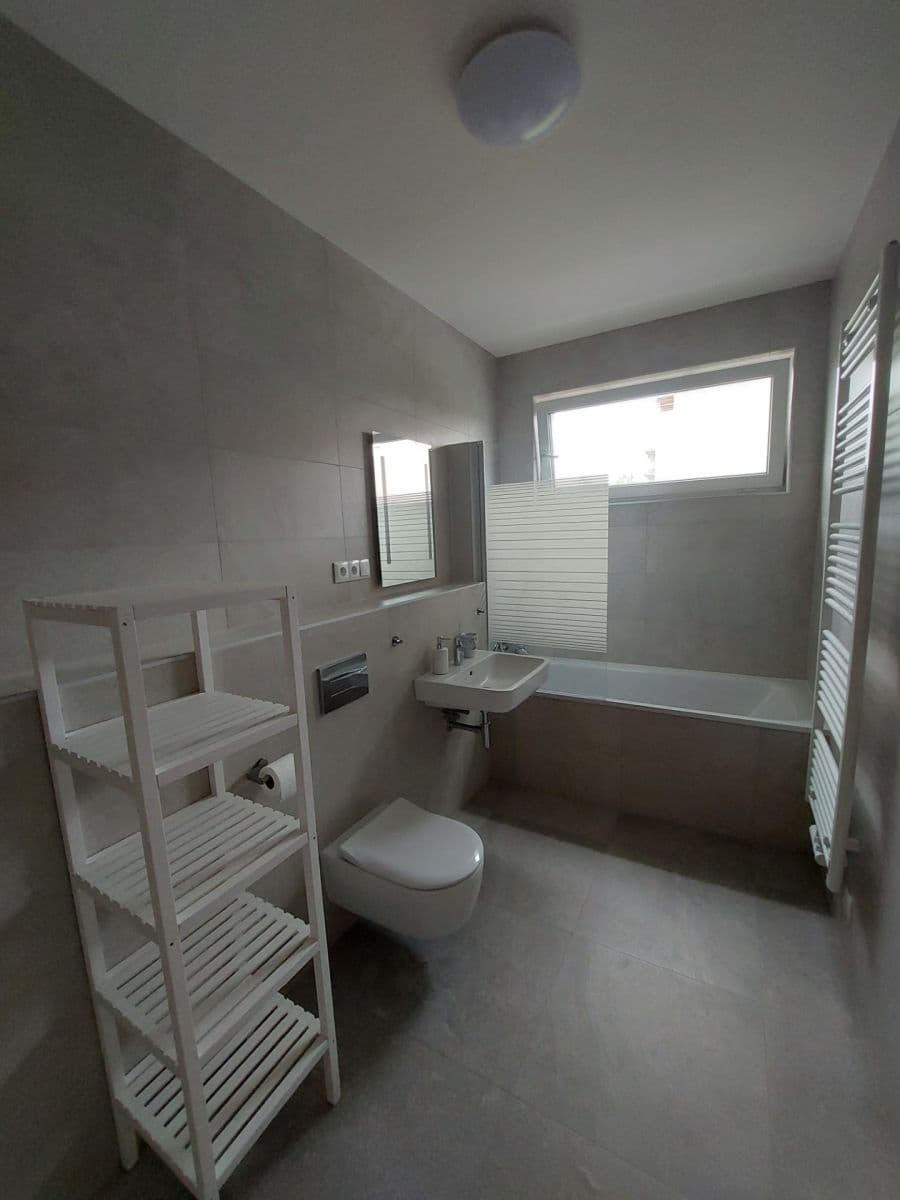 1 bedroom with open-plan kitchen flat to rent, 55 m², Divíškové, Prague, Prague 1 bedroom with open-plan kitchen flat to rent, 55 m², Divíškové, Prague, Prague
