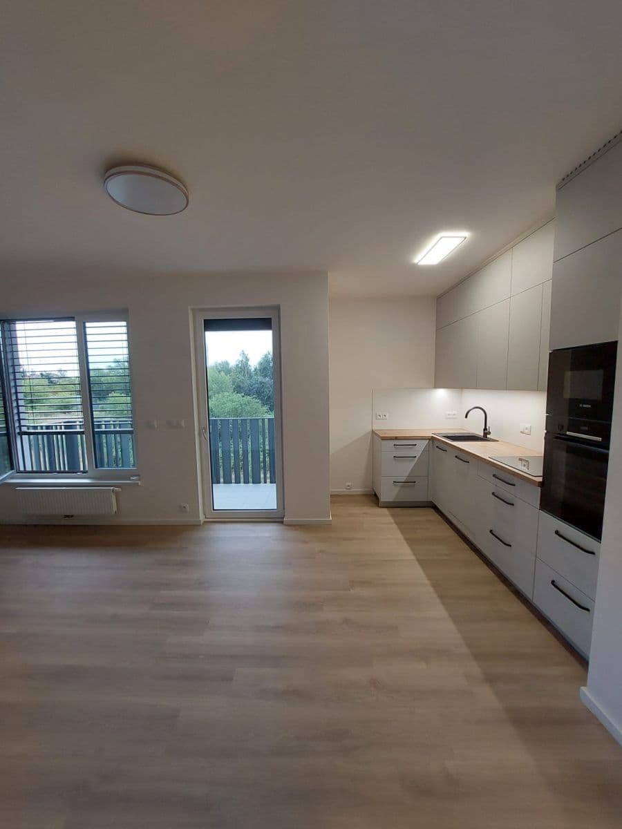 1 bedroom with open-plan kitchen flat to rent, 55 m², Divíškové, Prague, Prague 1 bedroom with open-plan kitchen flat to rent, 55 m², Divíškové, Prague, Prague