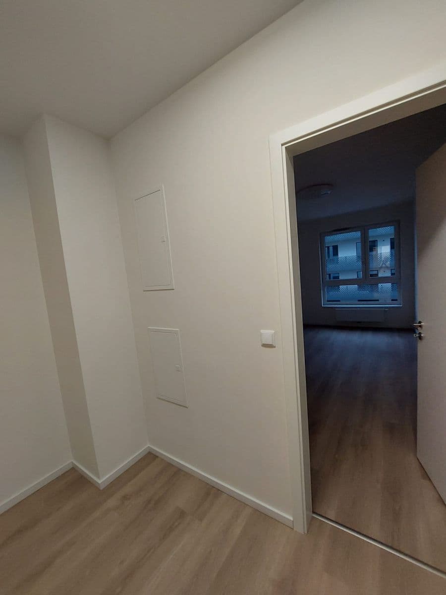 1 bedroom with open-plan kitchen flat to rent, 55 m², Divíškové, Prague, Prague 1 bedroom with open-plan kitchen flat to rent, 55 m², Divíškové, Prague, Prague