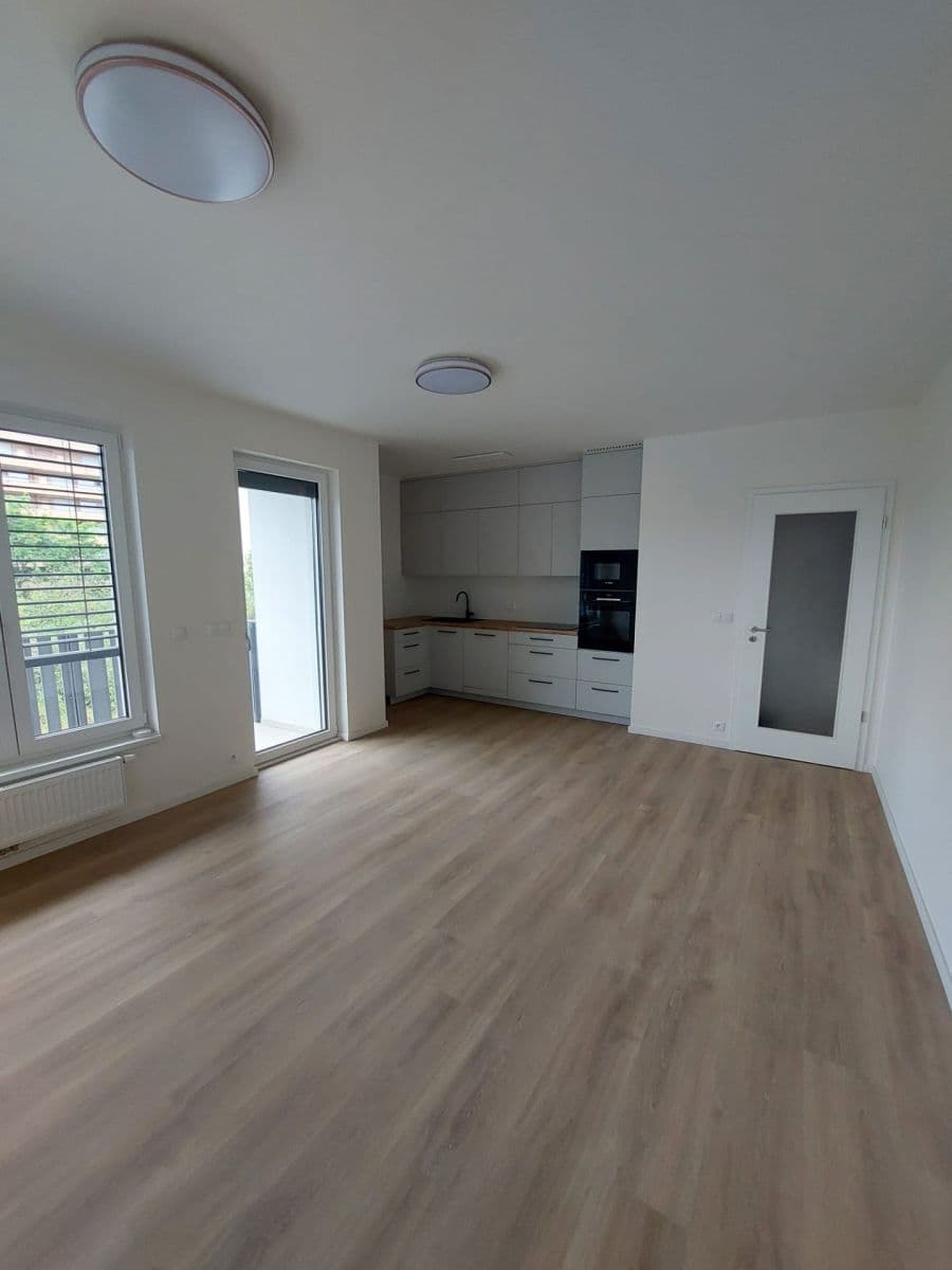 1 bedroom with open-plan kitchen flat to rent, 55 m², Divíškové, Prague, Prague 1 bedroom with open-plan kitchen flat to rent, 55 m², Divíškové, Prague, Prague