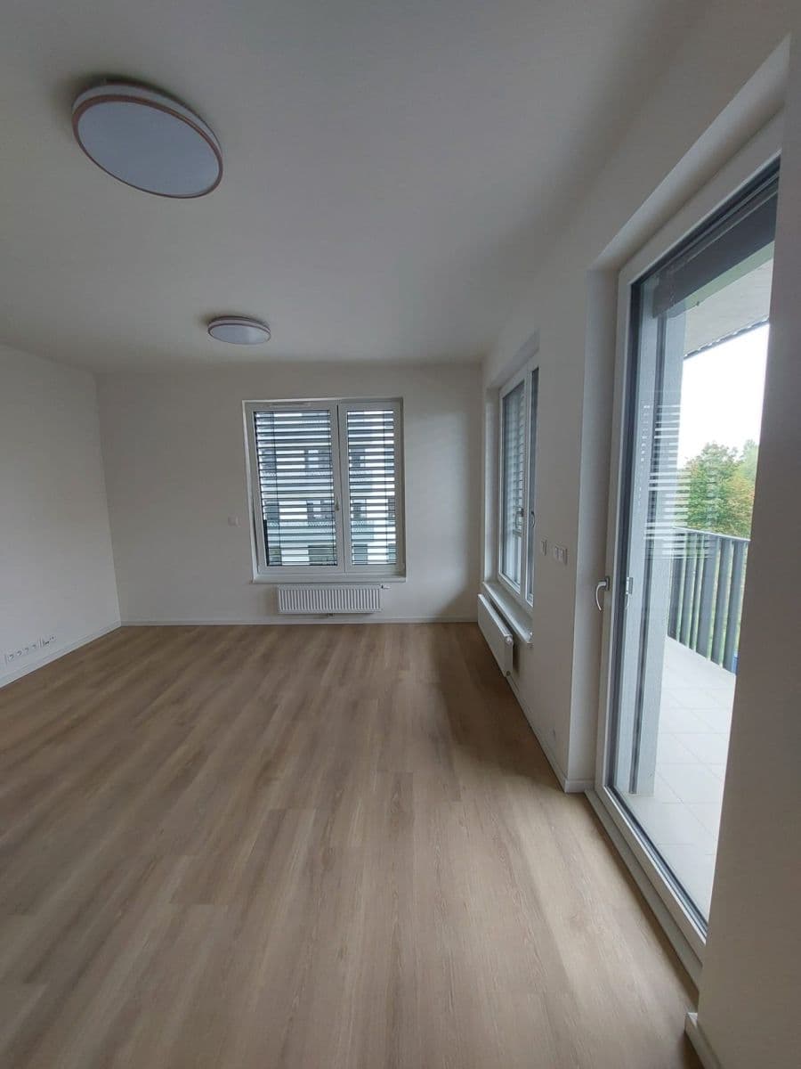 1 bedroom with open-plan kitchen flat to rent, 55 m², Divíškové, Prague, Prague 1 bedroom with open-plan kitchen flat to rent, 55 m², Divíškové, Prague, Prague