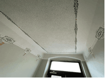 4 bedroom flat to rent, 103 m², Freiberg, Saxony 4 bedroom flat to rent, 103 m², Freiberg, Saxony