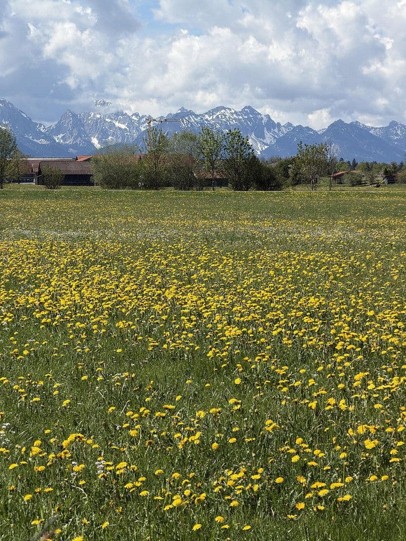 house for sale, 85 m², Halblech, Bavaria house for sale, 85 m², Halblech, Bavaria