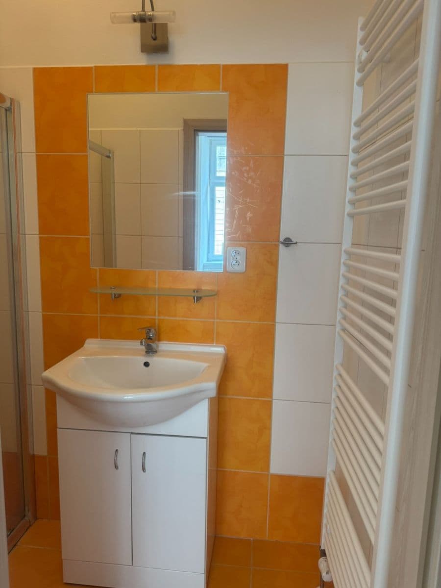 1 bedroom with open-plan kitchen flat to rent, 35 m², V Šipce, Plzeň, Plzeňský Region 1 bedroom with open-plan kitchen flat to rent, 35 m², V Šipce, Plzeň, Plzeňský Region