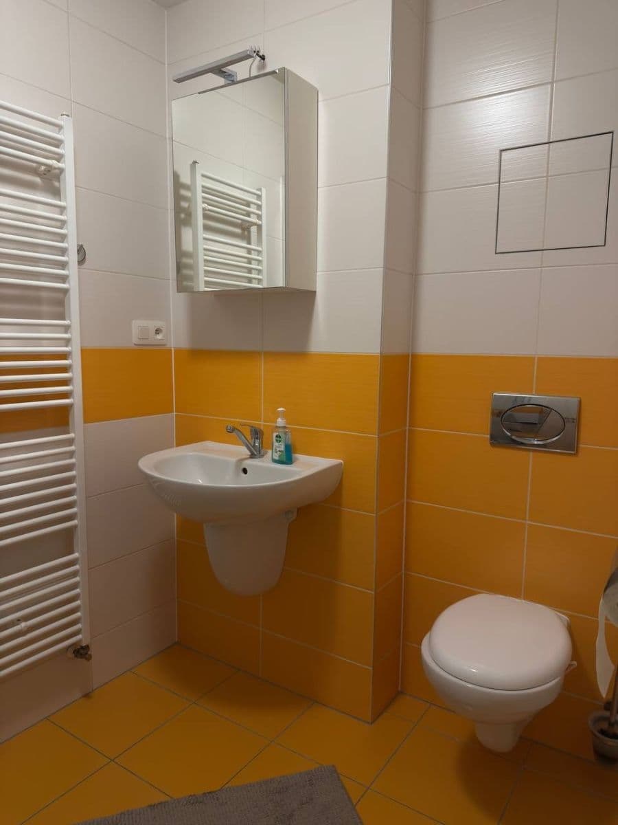 Studio flat to rent, 34 m², Běluňská, Prague, Prague Studio flat to rent, 34 m², Běluňská, Prague, Prague
