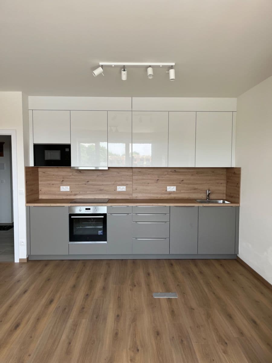 1 bedroom with open-plan kitchen flat to rent, 52 m², Sedlářova, Prague, Prague 1 bedroom with open-plan kitchen flat to rent, 52 m², Sedlářova, Prague, Prague