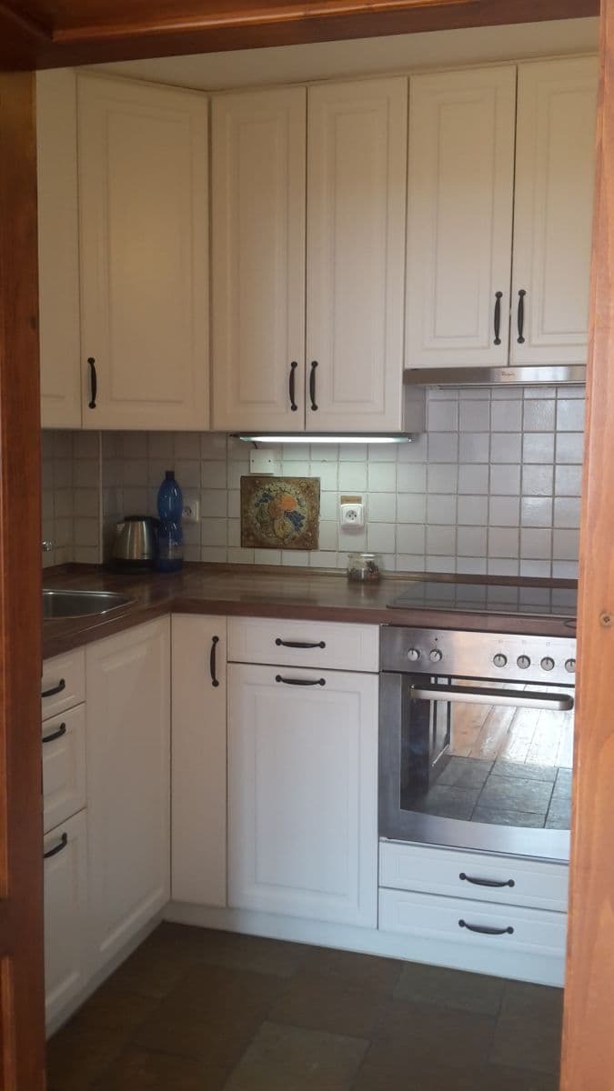 1 bedroom with open-plan kitchen flat to rent, 47 m², Šlikova, Prague, Prague 1 bedroom with open-plan kitchen flat to rent, 47 m², Šlikova, Prague, Prague