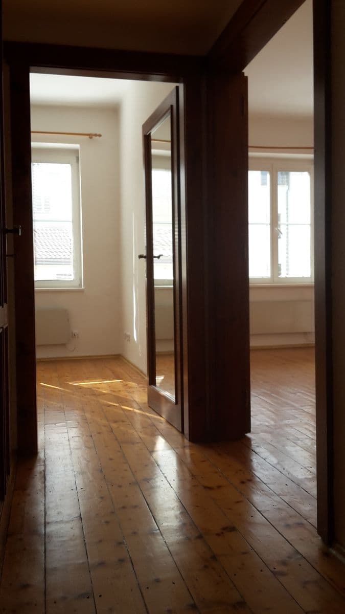 1 bedroom with open-plan kitchen flat to rent, 47 m², Šlikova, Prague, Prague 1 bedroom with open-plan kitchen flat to rent, 47 m², Šlikova, Prague, Prague