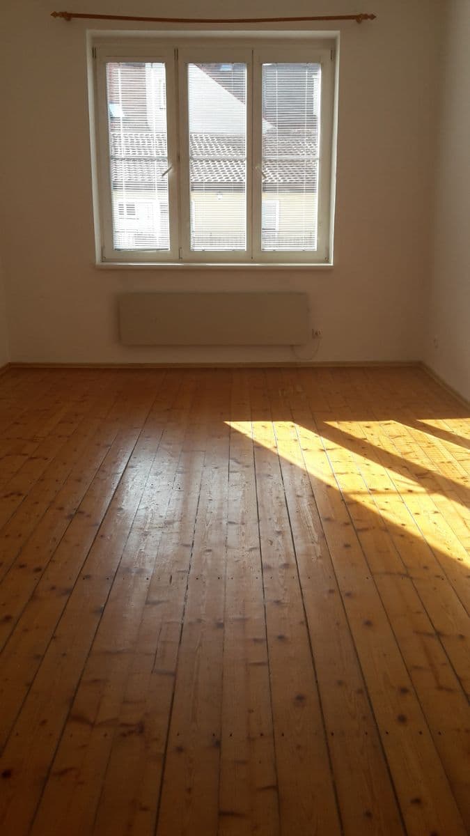 1 bedroom with open-plan kitchen flat to rent, 47 m², Šlikova, Prague, Prague 1 bedroom with open-plan kitchen flat to rent, 47 m², Šlikova, Prague, Prague