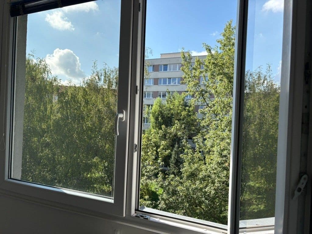 1 bedroom with open-plan kitchen flat to rent, 40 m², Bítovská, Prague, Prague 1 bedroom with open-plan kitchen flat to rent, 40 m², Bítovská, Prague, Prague