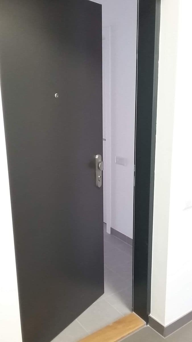 1 bedroom with open-plan kitchen flat to rent, 52 m², Olgy Havlové, Prague, Prague 1 bedroom with open-plan kitchen flat to rent, 52 m², Olgy Havlové, Prague, Prague