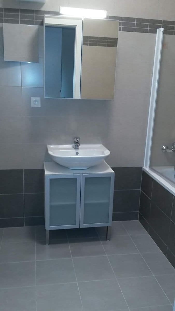 1 bedroom with open-plan kitchen flat to rent, 52 m², Olgy Havlové, Prague, Prague 1 bedroom with open-plan kitchen flat to rent, 52 m², Olgy Havlové, Prague, Prague