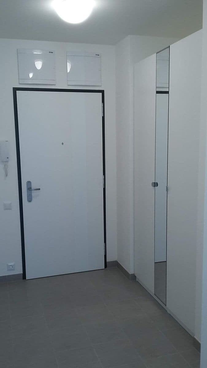1 bedroom with open-plan kitchen flat to rent, 52 m², Olgy Havlové, Prague, Prague 1 bedroom with open-plan kitchen flat to rent, 52 m², Olgy Havlové, Prague, Prague