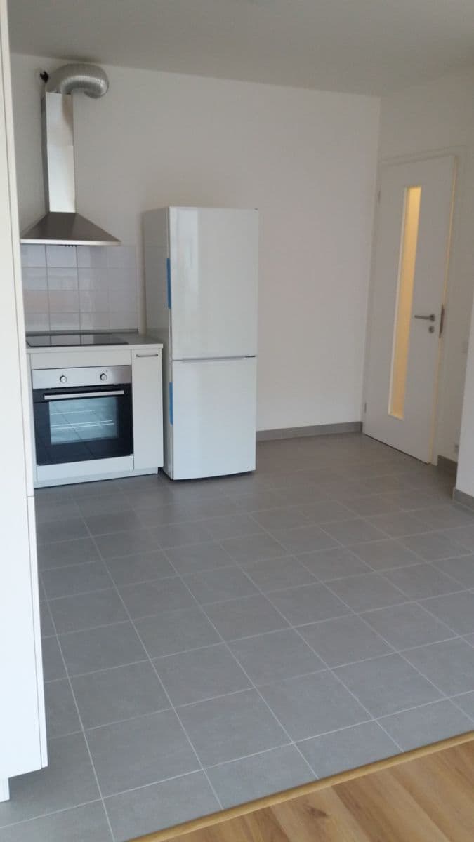 1 bedroom with open-plan kitchen flat to rent, 52 m², Olgy Havlové, Prague, Prague 1 bedroom with open-plan kitchen flat to rent, 52 m², Olgy Havlové, Prague, Prague
