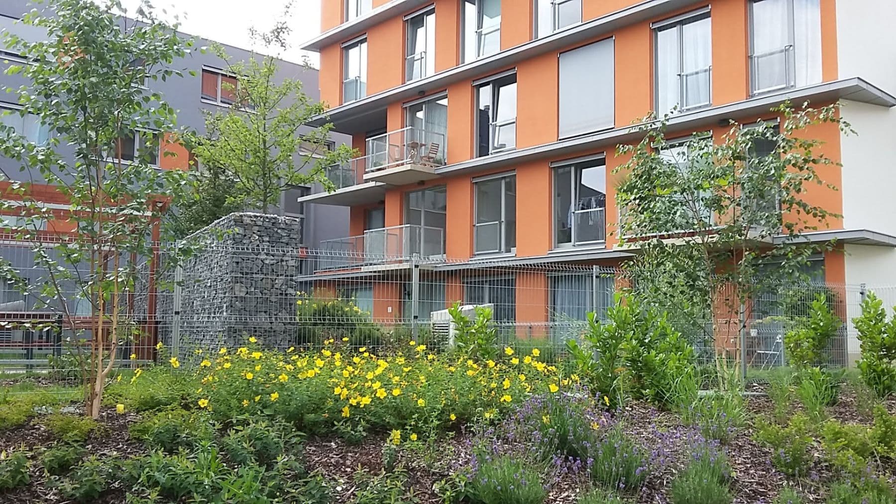 1 bedroom with open-plan kitchen flat to rent, 52 m², Olgy Havlové, Prague, Prague 1 bedroom with open-plan kitchen flat to rent, 52 m², Olgy Havlové, Prague, Prague