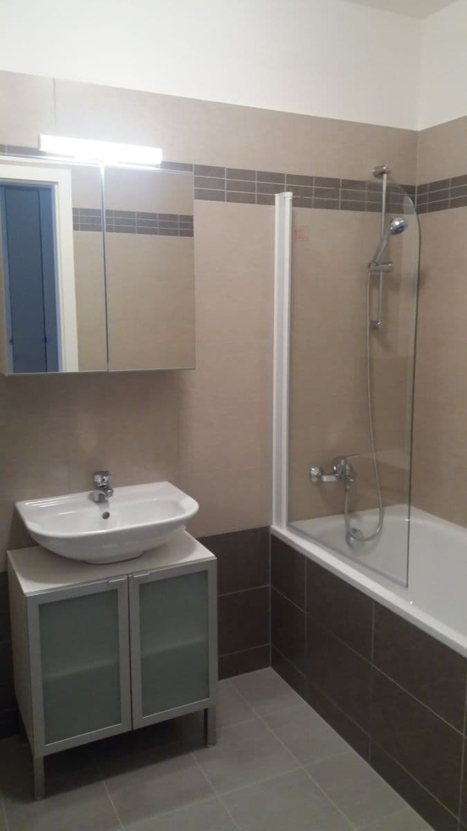 1 bedroom with open-plan kitchen flat to rent, 52 m², Olgy Havlové, Prague, Prague 1 bedroom with open-plan kitchen flat to rent, 52 m², Olgy Havlové, Prague, Prague