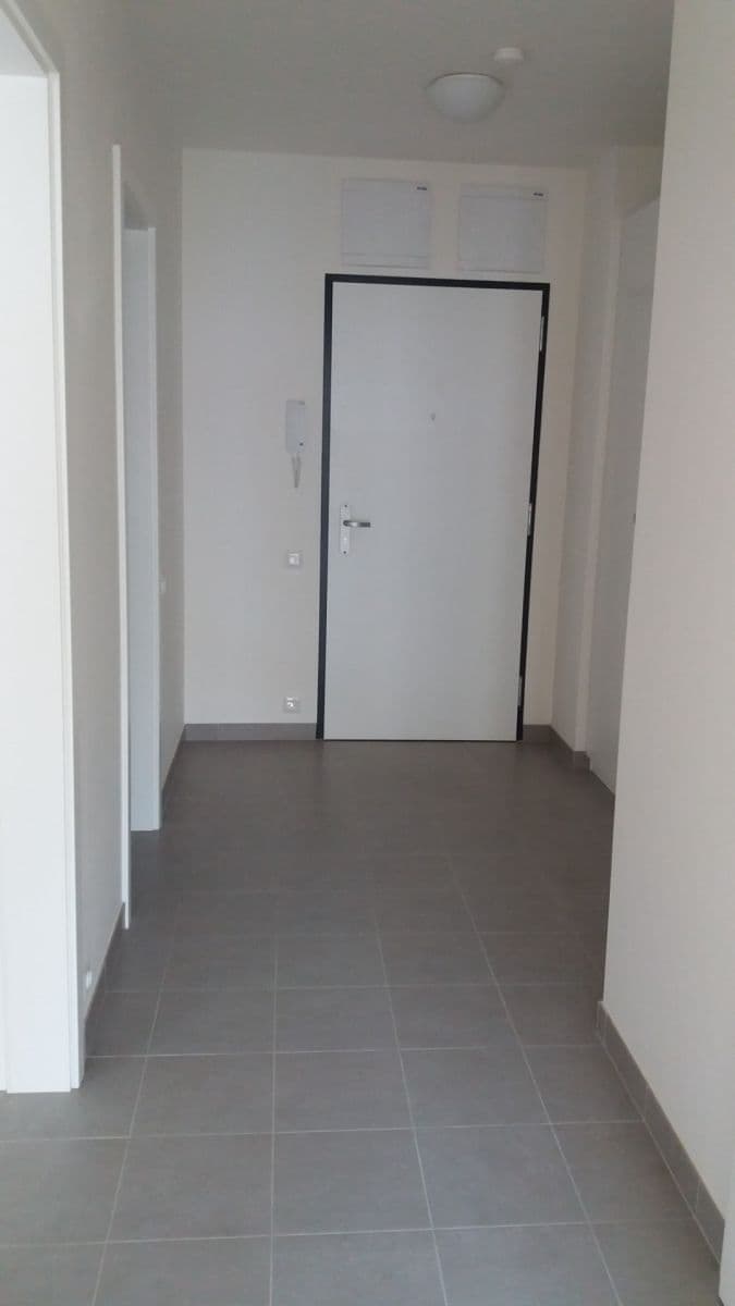 1 bedroom with open-plan kitchen flat to rent, 52 m², Olgy Havlové, Prague, Prague 1 bedroom with open-plan kitchen flat to rent, 52 m², Olgy Havlové, Prague, Prague