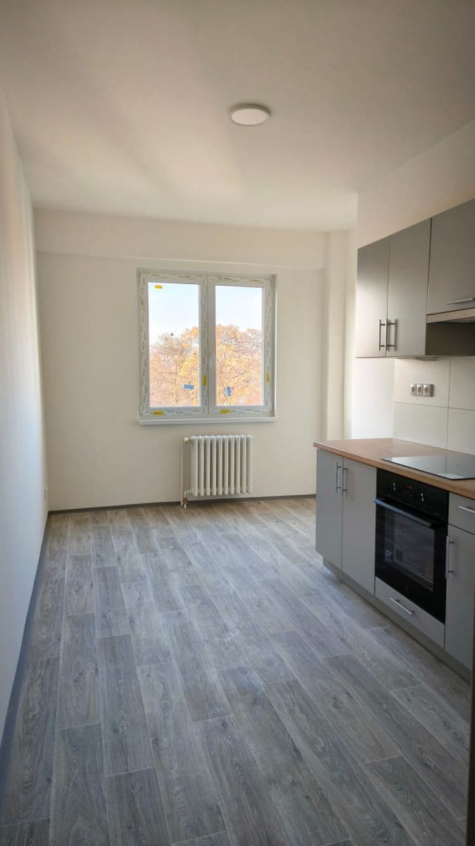 1 bedroom flat to rent, 45 m², Na Kopečku, Prague, Prague 1 bedroom flat to rent, 45 m², Na Kopečku, Prague, Prague
