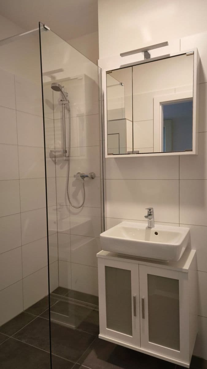 1 bedroom flat to rent, 45 m², Na Kopečku, Prague, Prague 1 bedroom flat to rent, 45 m², Na Kopečku, Prague, Prague