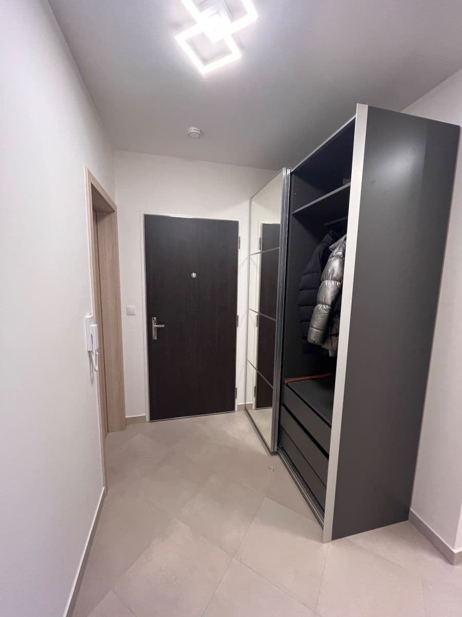 2 bedroom with open-plan kitchen flat to rent, 90 m², Pod Chodovem, Prague, Prague 2 bedroom with open-plan kitchen flat to rent, 90 m², Pod Chodovem, Prague, Prague