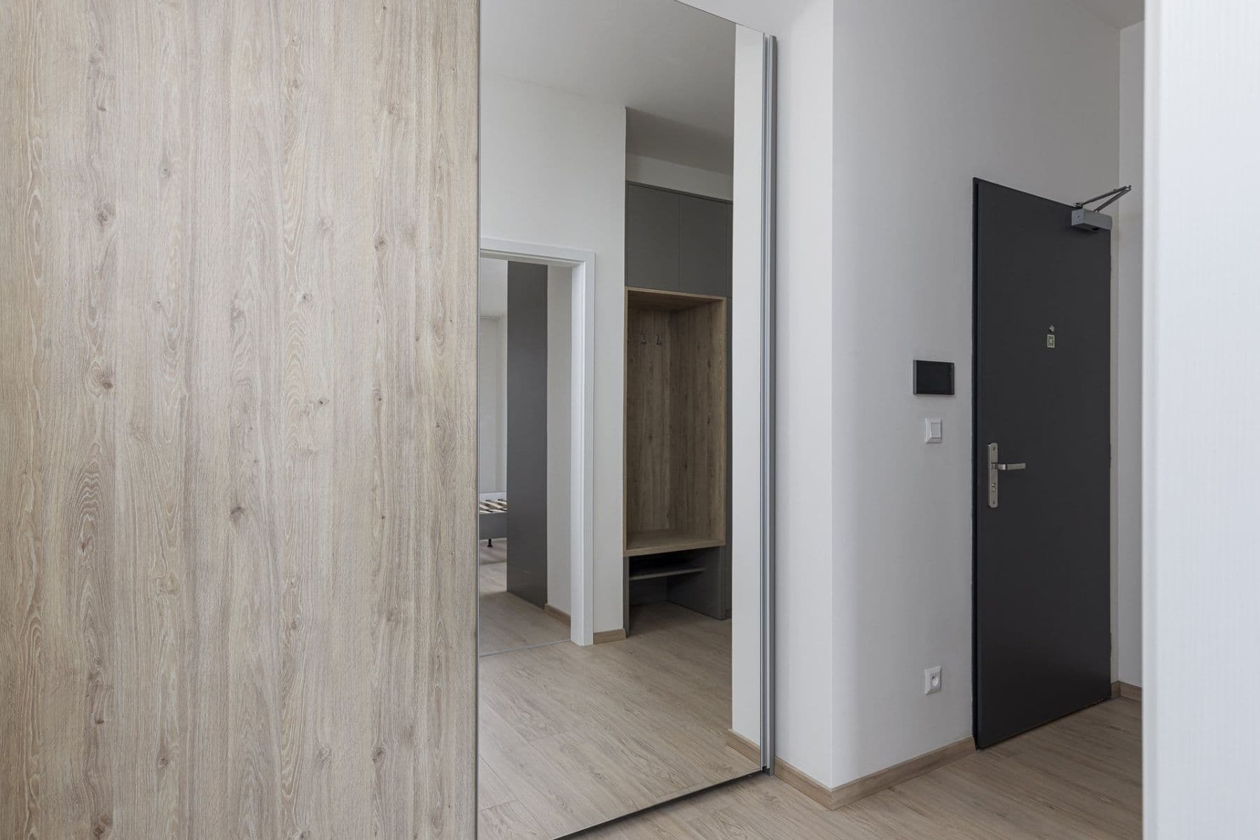 1 bedroom with open-plan kitchen flat to rent, 47 m², Haenkeho, Prague, Prague 1 bedroom with open-plan kitchen flat to rent, 47 m², Haenkeho, Prague, Prague
