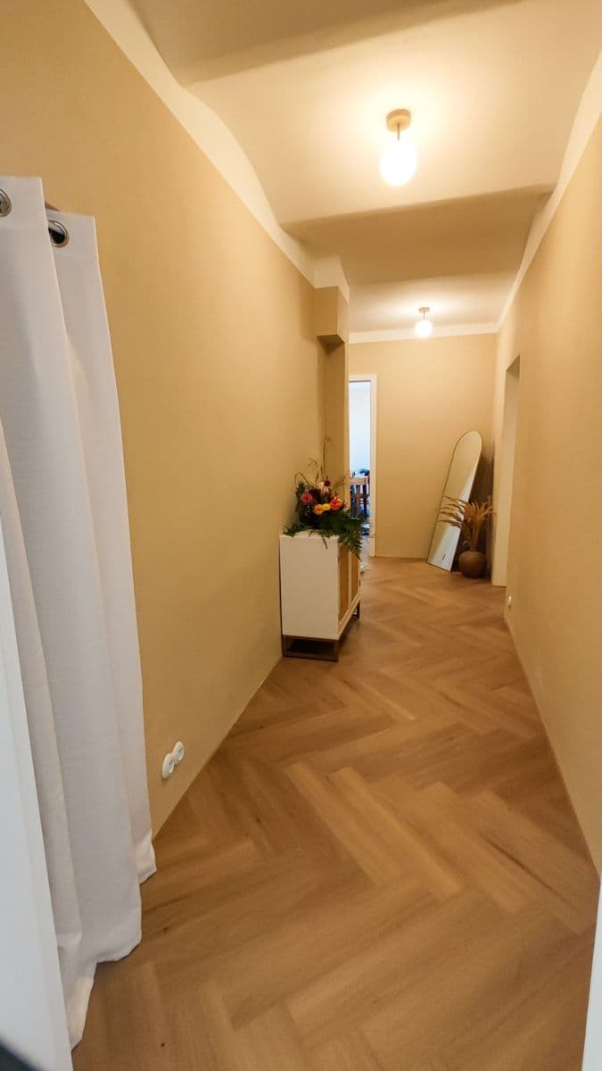 1 bedroom with open-plan kitchen flat to rent, 143 m², Jeruzalémská, Prague, Prague 1 bedroom with open-plan kitchen flat to rent, 143 m², Jeruzalémská, Prague, Prague